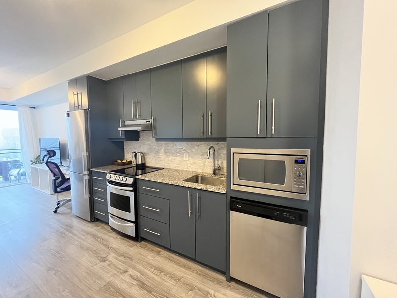 #306-10 Esplanade Ln
